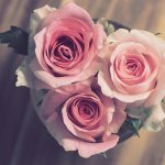 7+ Rapid City Couples Massage Therapy Secrets Exposed For Both Of You 7 Couples Massage Rapid City