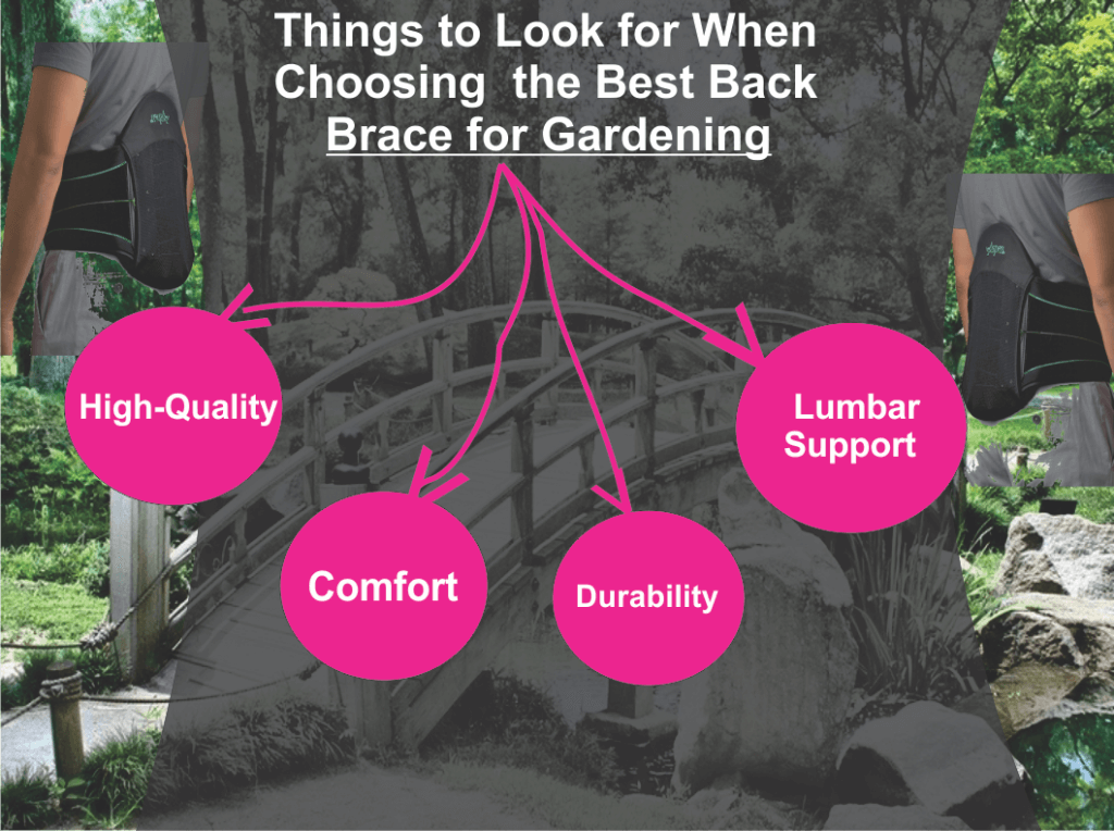 Best Back Brace for Gardening (5 Reviews) Start Gardening Without Back