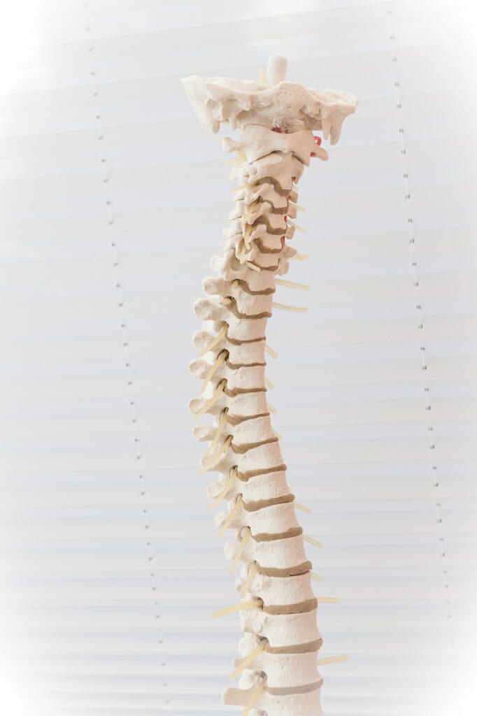 Best Back Brace for Herniated Disc: Review 5 Back Braces That Stop Back Pain 53 Best Back Brace for Herniated Disc: Review 5 Back Braces That Stop Back Pain 53